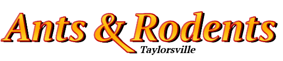 Taylorsville Ant Exterminator & Rodent Control Company Logo